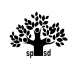 nero copia